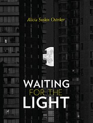 Cover of Waiting for the Light