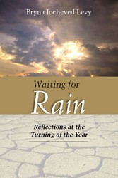 Cover of Waiting for Rain: Reflections at the Turning of the Year