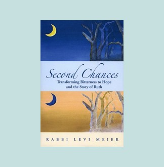 Second Chance Example Second Chances: Transforming Bitterness to Hope and the Story of Ruth ...