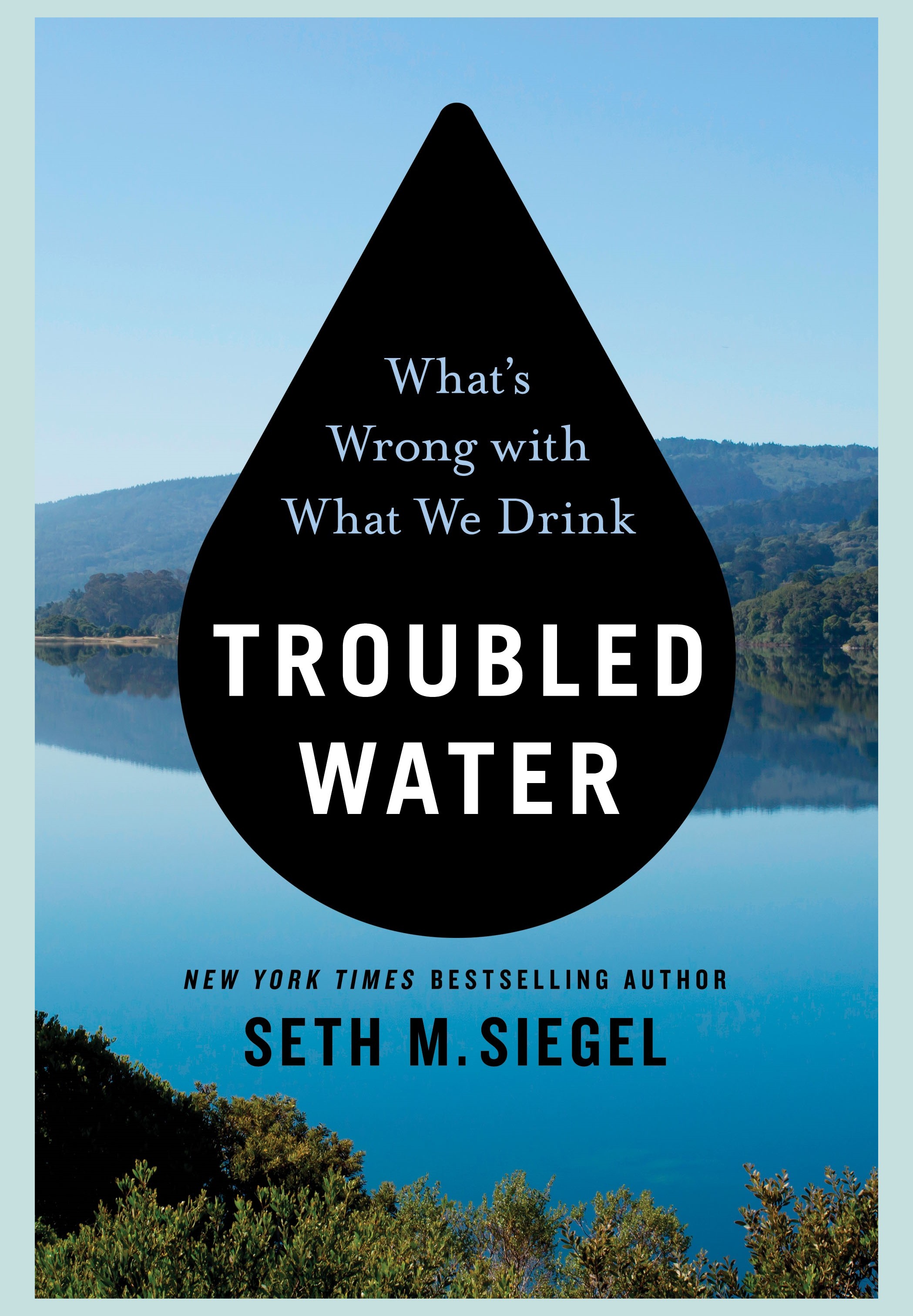 2020 water process logo. Troubled water перевод. Troubled water перевод. Urenga обложки альбомов hydra. Bridge over troubled water для хора.