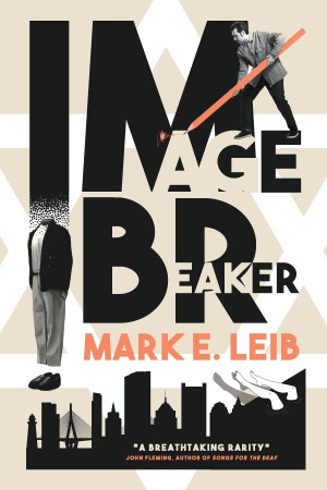 Cover of Image Breaker