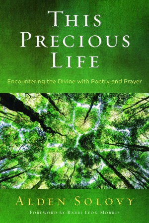 Cover of This Precious Life: Encountering the Divine with Poetry and Prayer