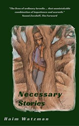 Cover of Necessary Stories