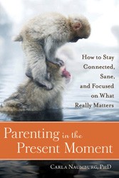 Cover of Parenting in the Present Moment: How to Stay Focused on What Really Matters