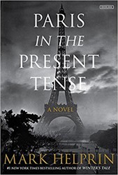 Cover of Paris in the Present Tense: A Novel