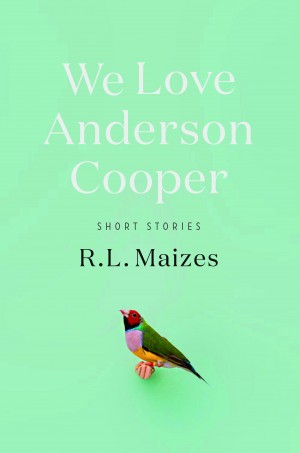 Cover of We Love Anderson Cooper: Short Stories