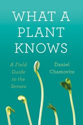 Cover of What a Plant Knows