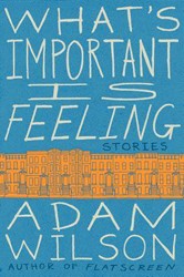 Cover of What's Important Is Feeling: Stories
