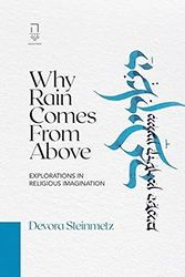 Cover of Why Rain Comes from Above: Explorations in Religious Imagination